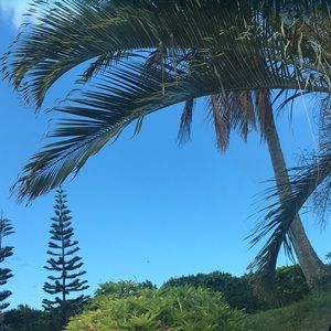 Meet your Posher, Dylan